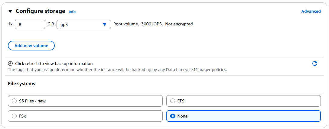 ../_images/aws_instance_storage.png