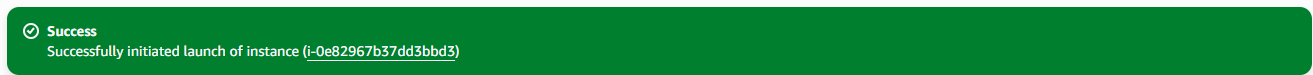 ../_images/aws_instance_success.png